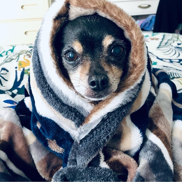 Meet Your Posher - Picture 7 of 13